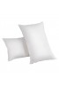 Every Night Dream 2 Pcs Fiber Bed Pillows, G03